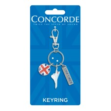 Concorde Shaped Metal Enamel Trinket Keyring